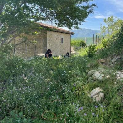 Screenshot 20220525 163531 Whatsapp