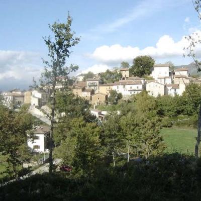 Poggio Vitellino Intero