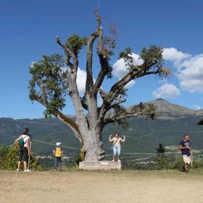 Screenshot 20220402 213942 Facebook1